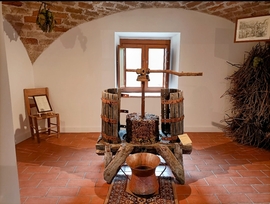 Museo dell'Uva e del Vino Montonico